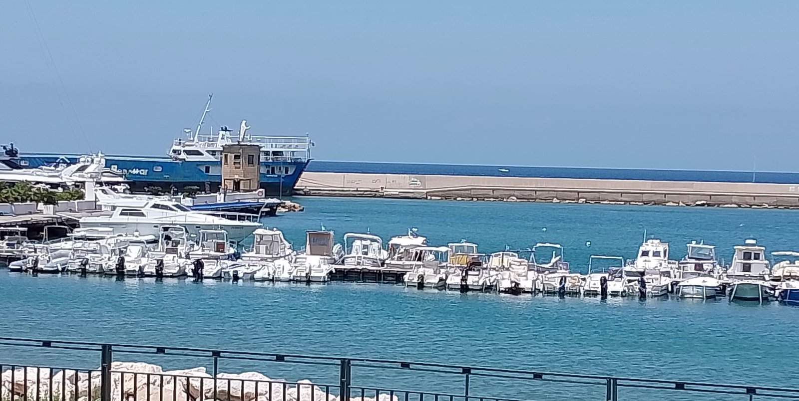 How to Live a Long, Healthy Life? What the Longest Study on Human Life Teaches Us.