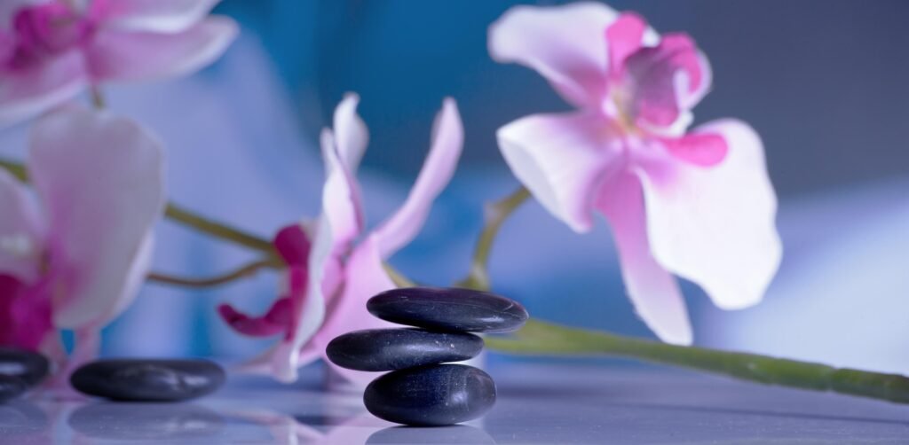 sponchia massage 599532 1920 1